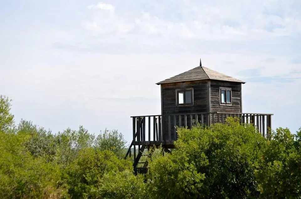 Country house El Cotillo De San Jose Hinojos Spain