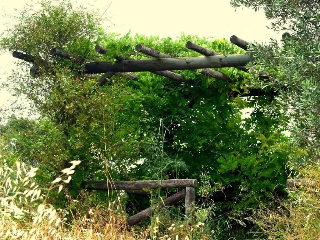 El Cotillo De San Jose Hinojos